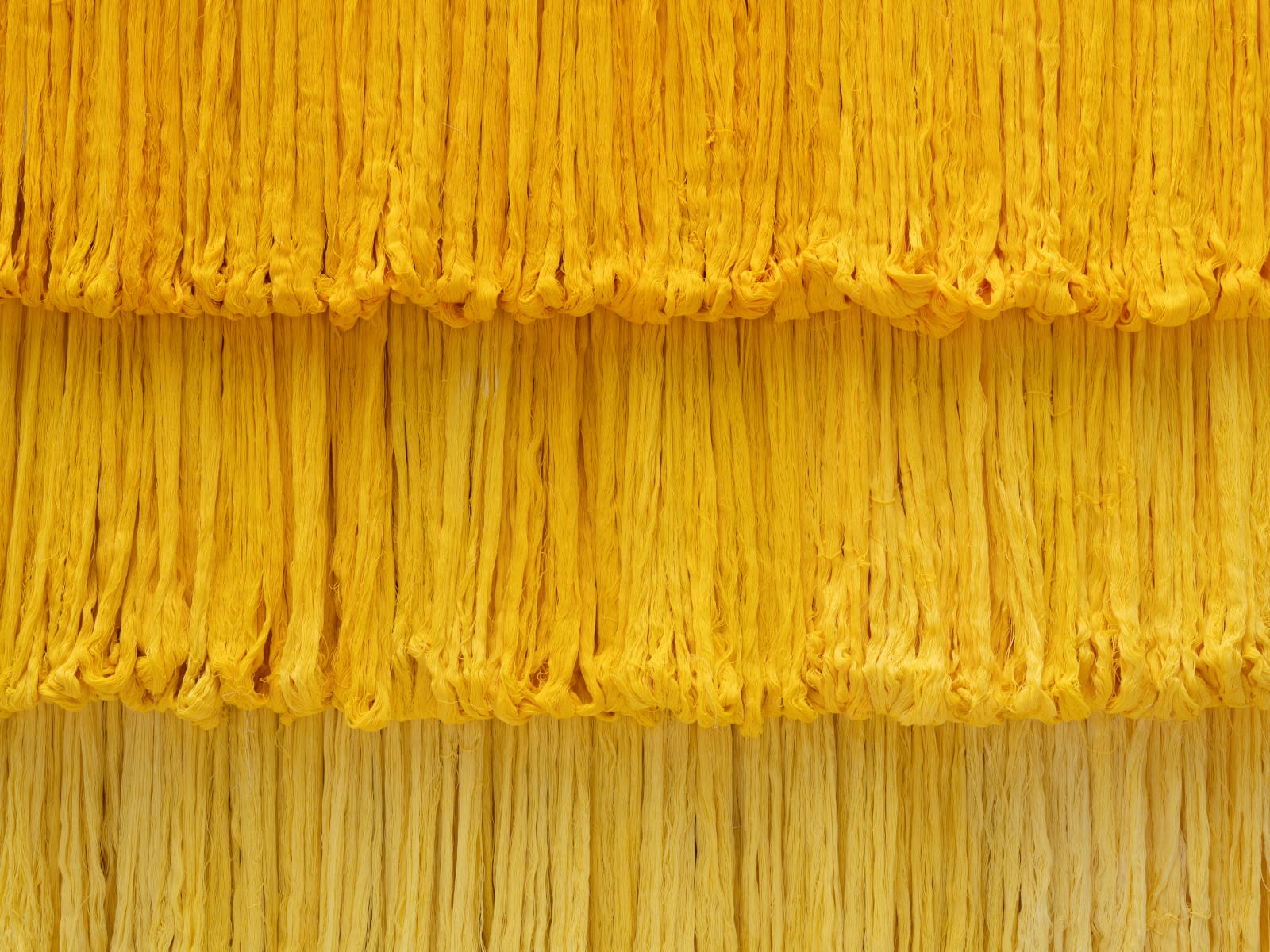 Sandra Monterroso, Expoliada II, 2016