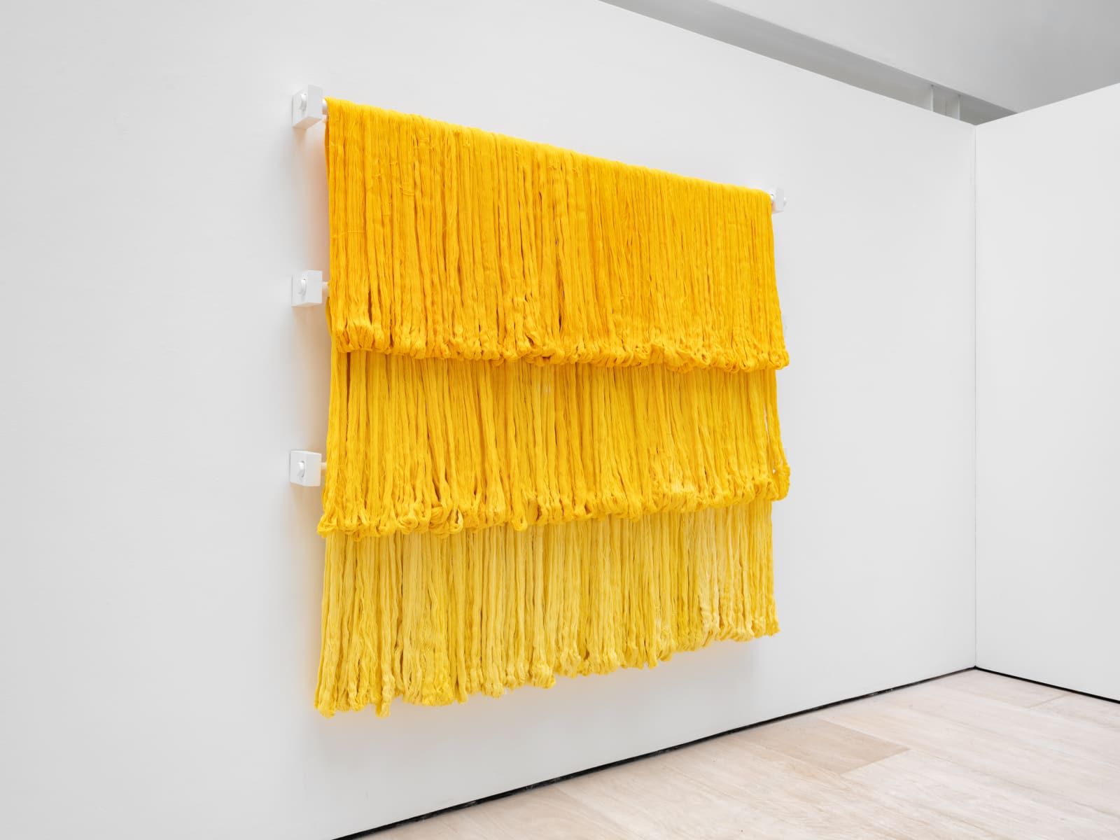 Sandra Monterroso, Expoliada II, 2016