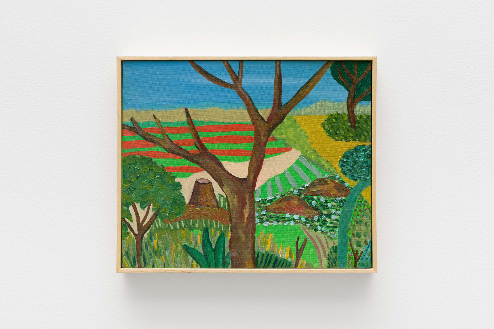 Matheus Chiaratti, Marteli (Os Jardins de Pau Lavrado) [Marteli neighbourhood (The Pau Lavrado Gardens series)], 2024