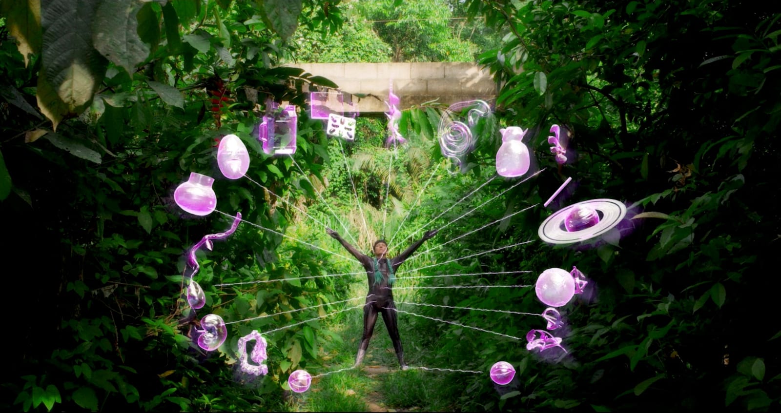 Patricia Domínguez, Matrix Vegetal, 2022