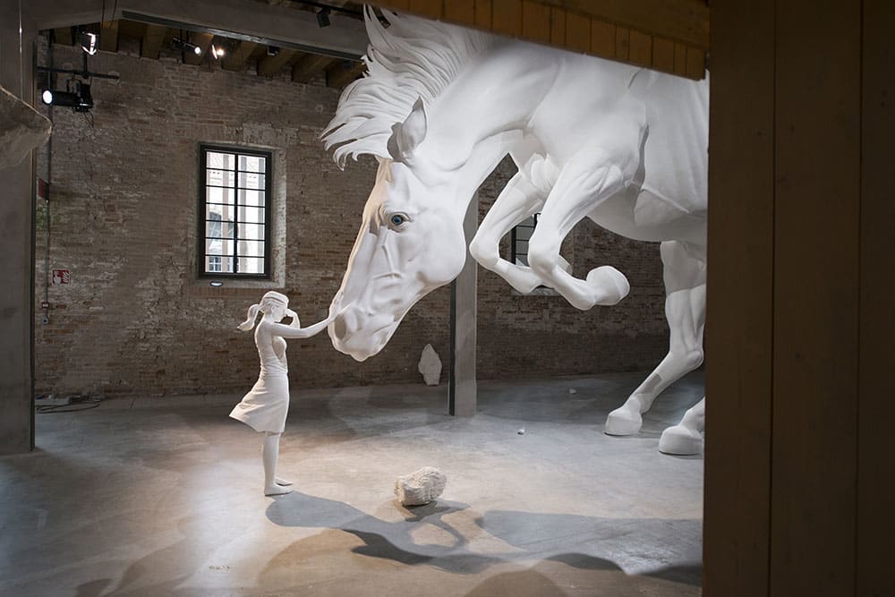 Claudia Fontes, The Horse Problem, Installation at the Argentinean Pavilion, Arsenale, 57a Venice Biennial, Italy, 2017