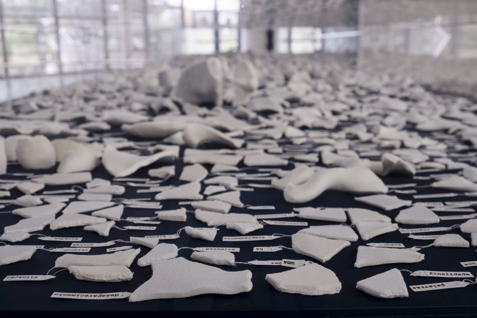 Claudia Fontes, Footnote, 2019