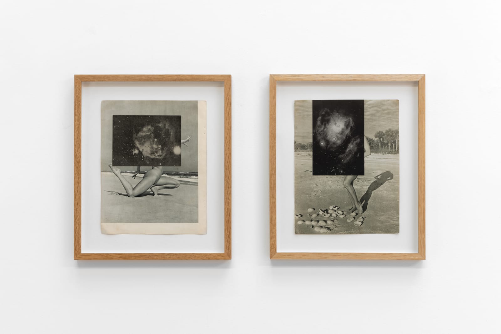 Cecilia Bonilla, Fantasies of Liberation, 2015