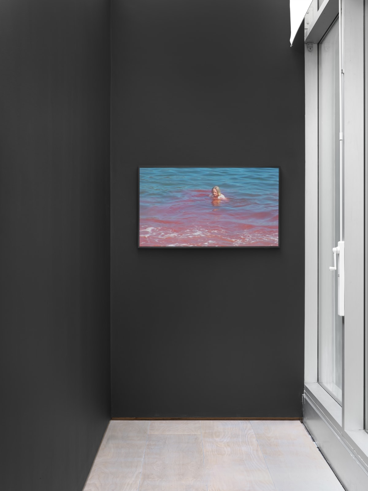 Katie van Scherpenberg, Menarca [Menarche], 2007