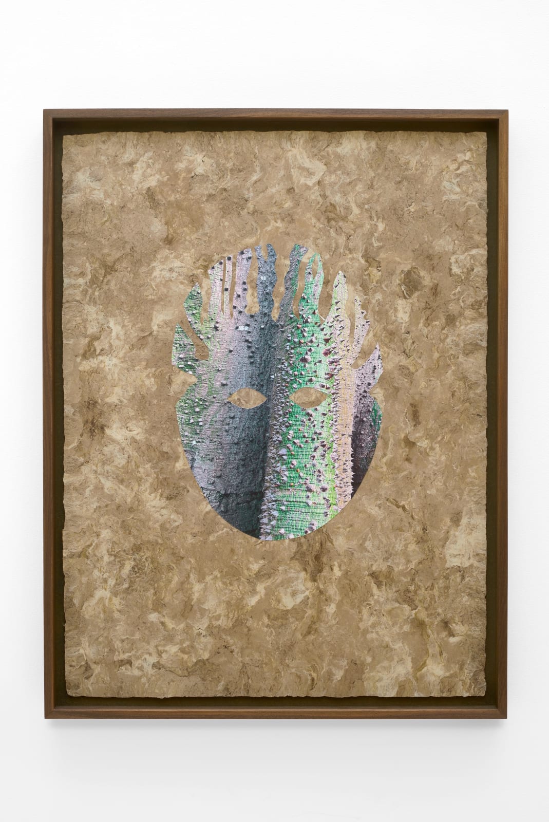 Lucía Pizzani, Ceiba Deity, 2024