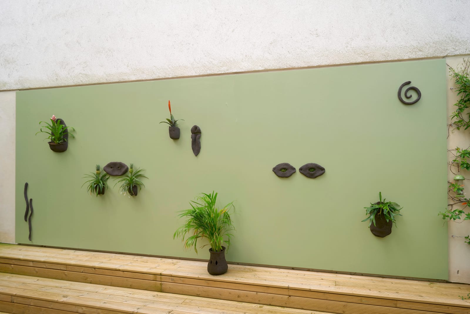 Lucía Pizzani, Seres Tropicales, 2024