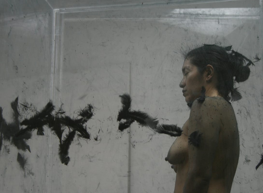 Sandra Monterroso, La Devolución del Penacho de Vucub Caquix, 2014