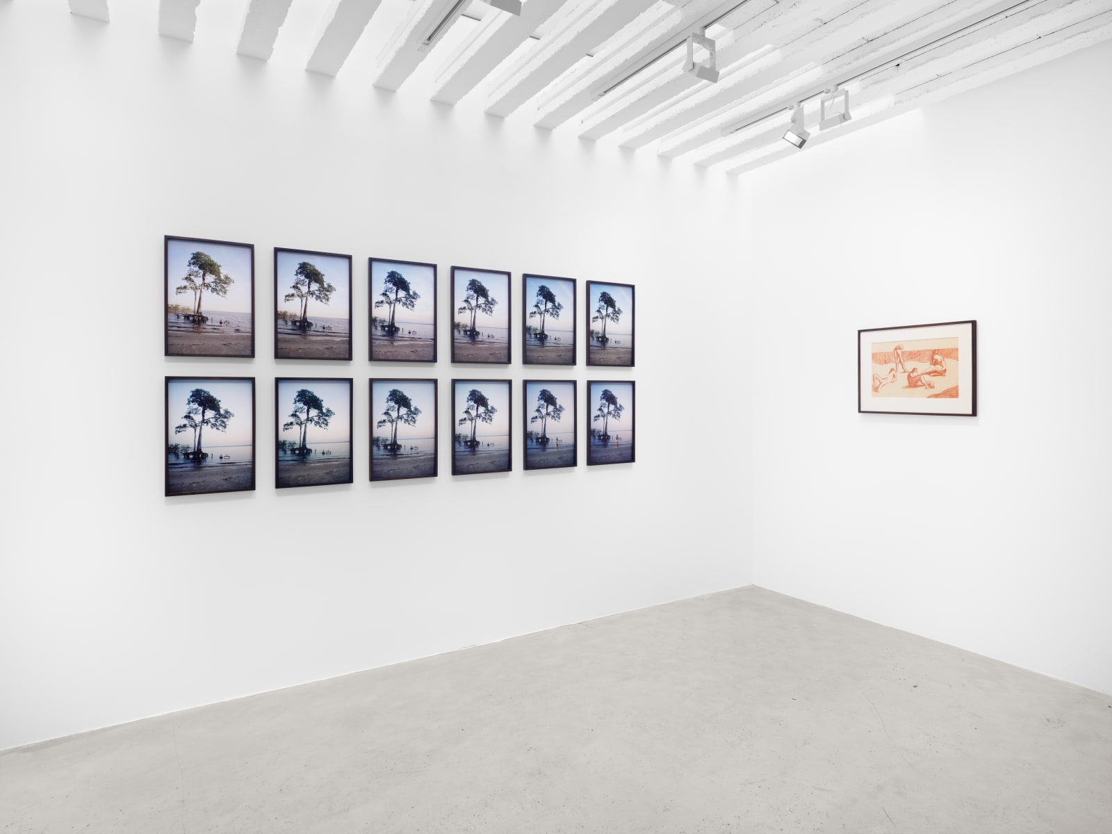 Katie van Scherpenberg, Untitled, 1972