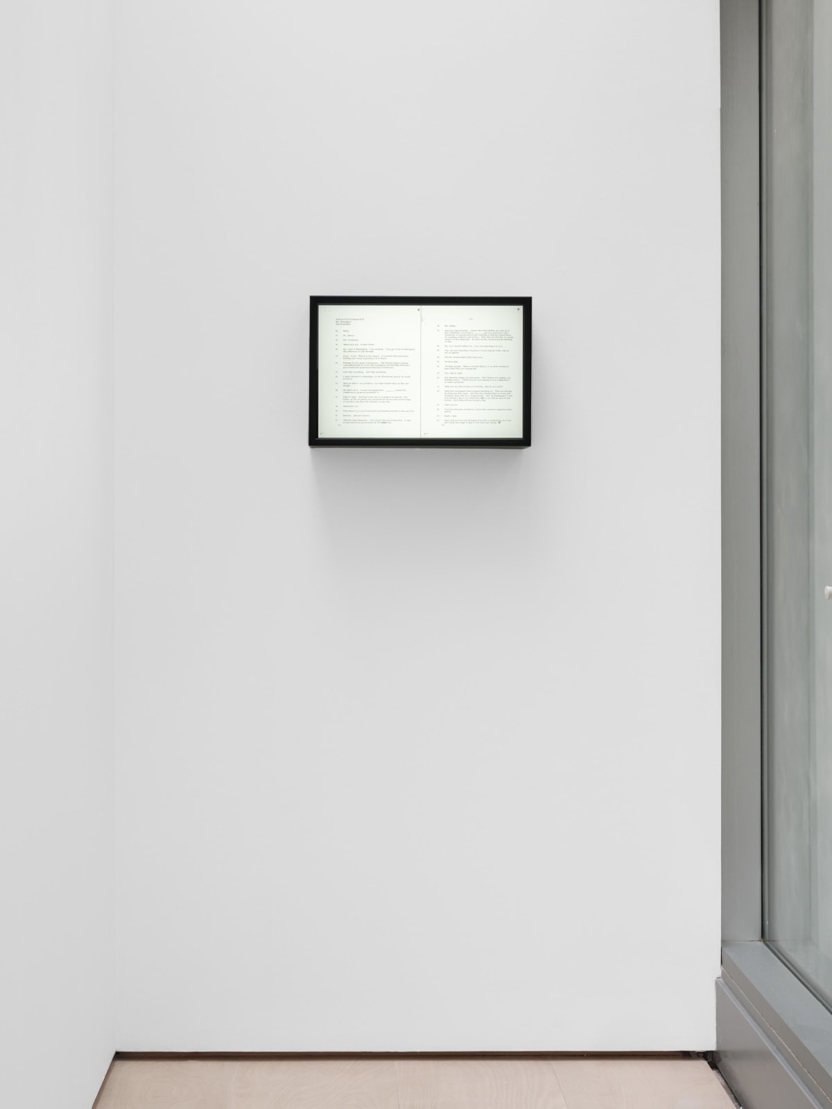 Alfredo Jaar, Nothing of Very Great Consequence, 2008