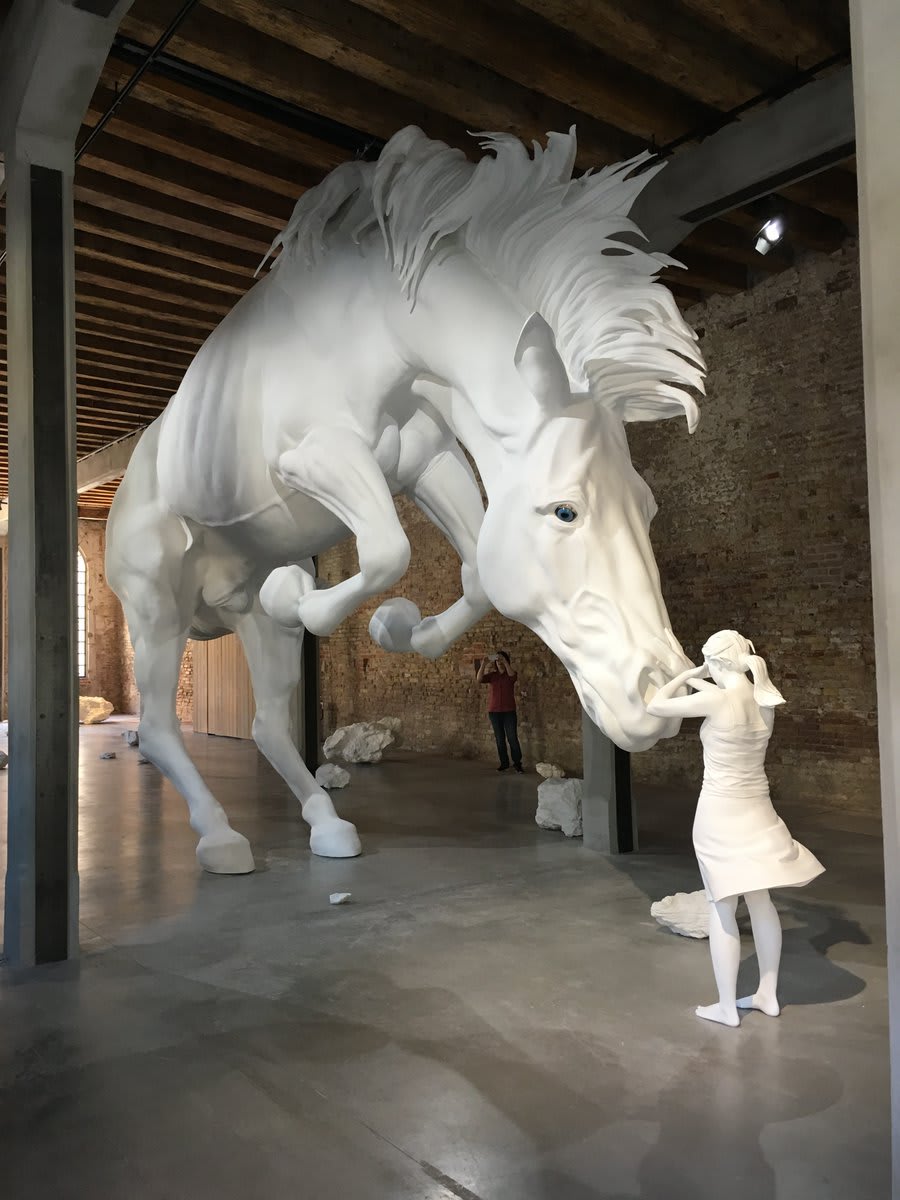 Claudia Fontes, The Horse Problem, Installation at the Argentinean Pavilion, Arsenale, 57a Venice Biennial, Italy, 2017