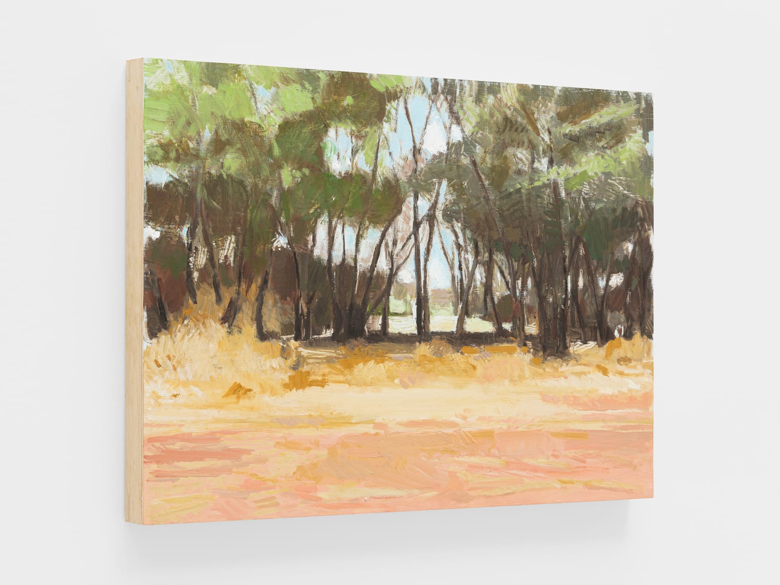 Paulo Pasta, Untitled, 2019