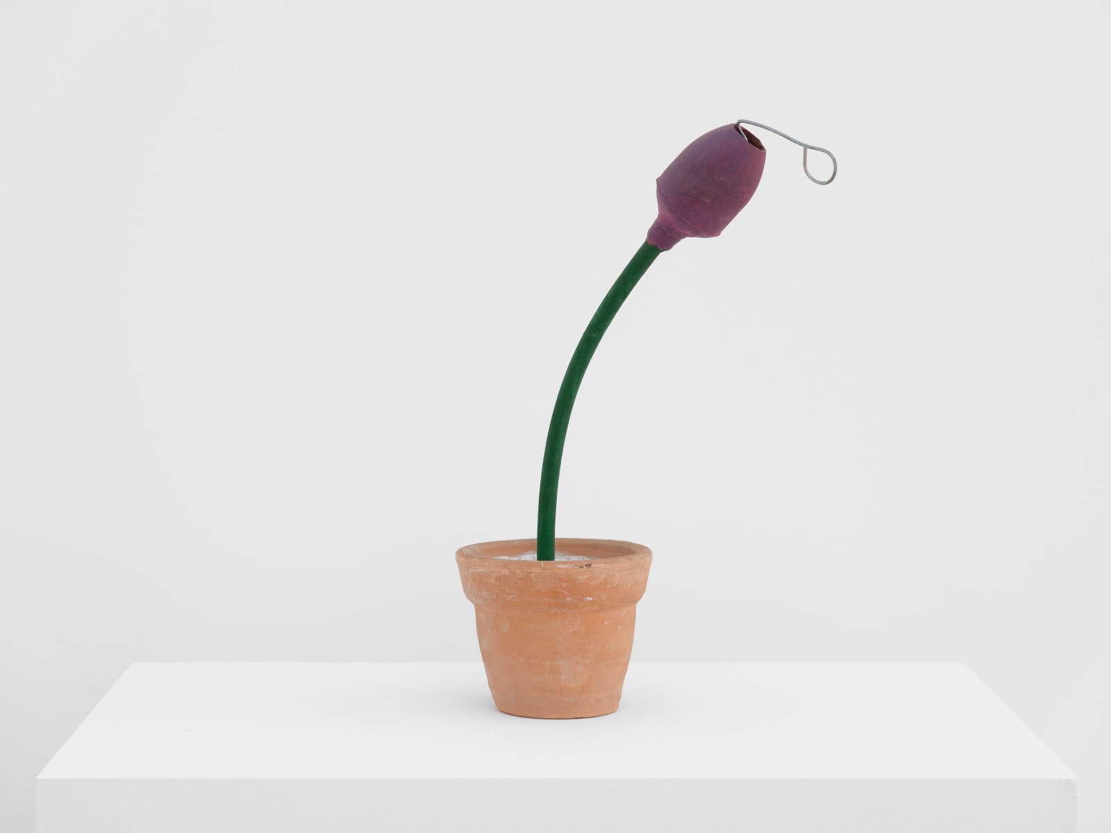 Feliciano Centurión, Maceta (Flowerpot), 1990