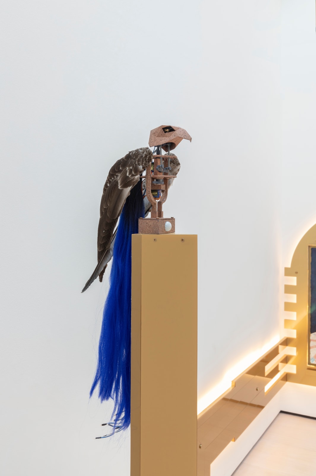 Patricia Domínguez, Rocky 1, 2024