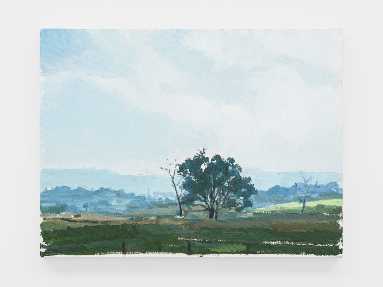 Paulo Pasta, Untitled, 2020