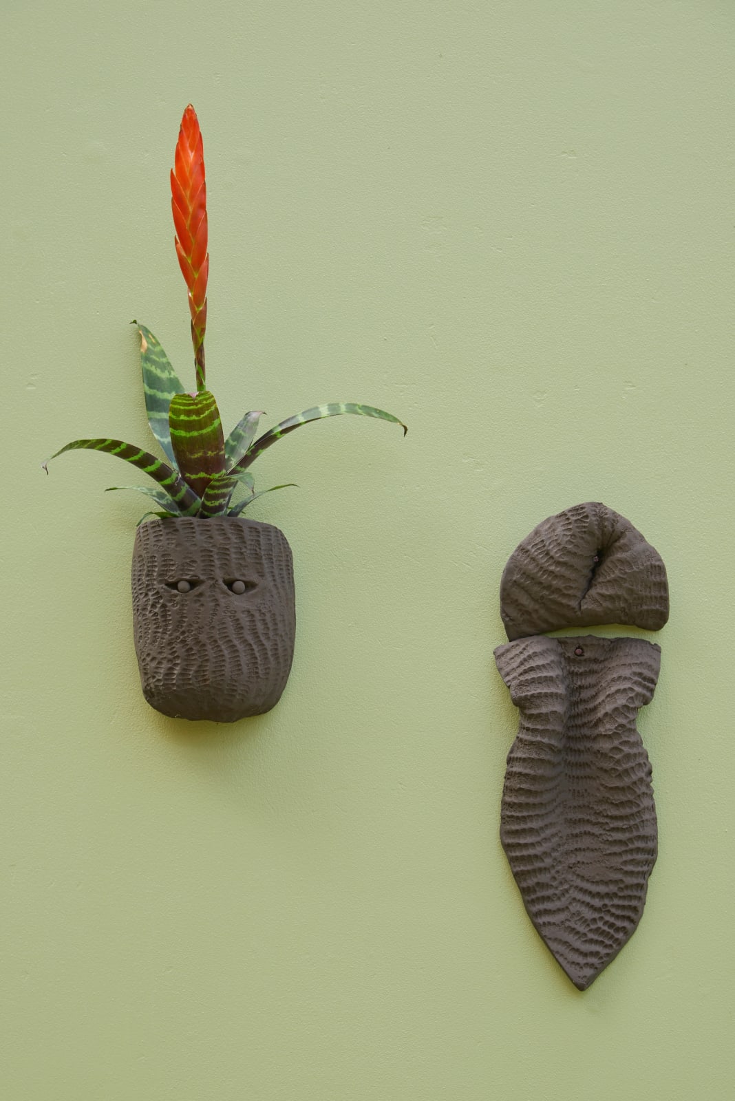 Lucía Pizzani, Seres Tropicales, 2024