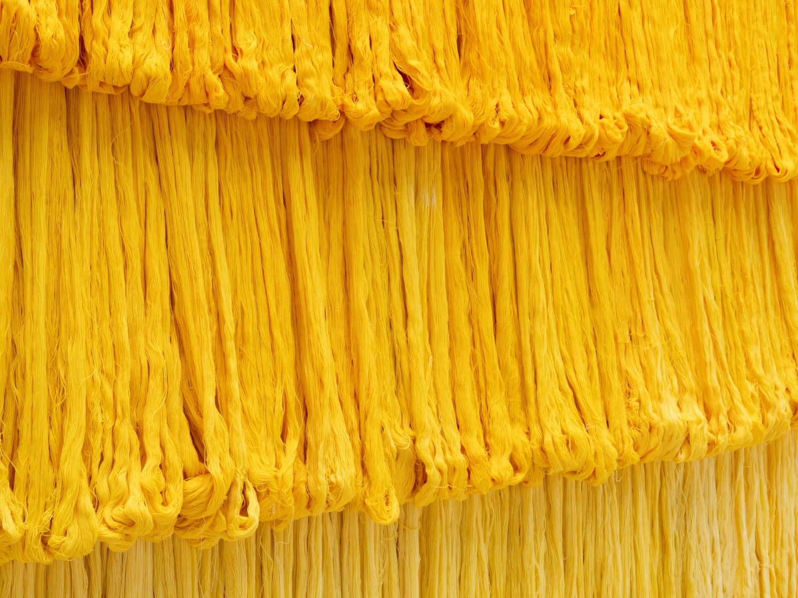 Sandra Monterroso, Expoliada II, 2016