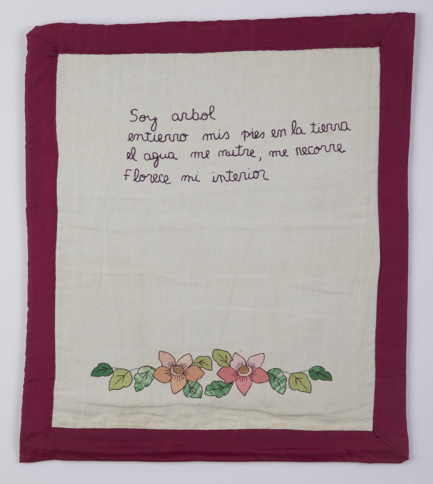 Feliciano Centurión, Florece [Flourishes], 1995