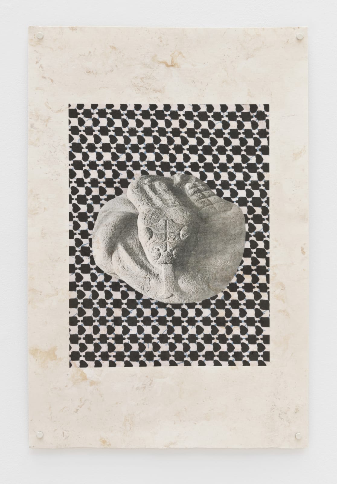 Lucía Pizzani, Āmatl 1, 2019