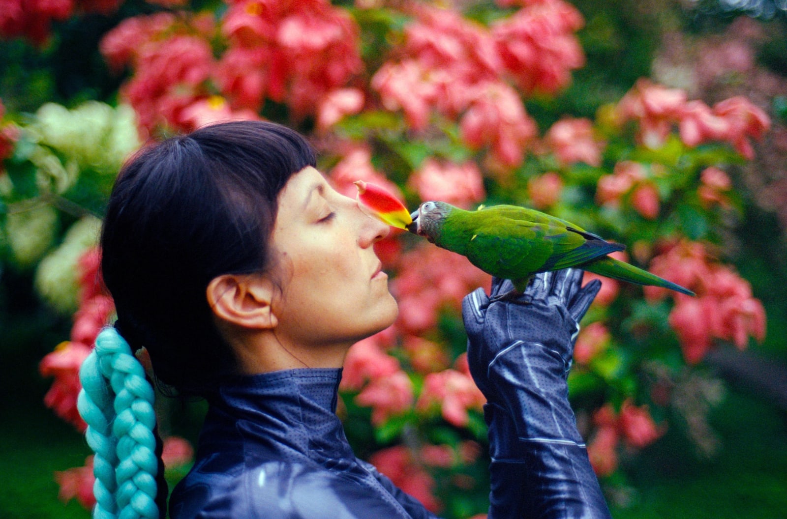 Patricia Domínguez, Matrix Vegetal, 2022