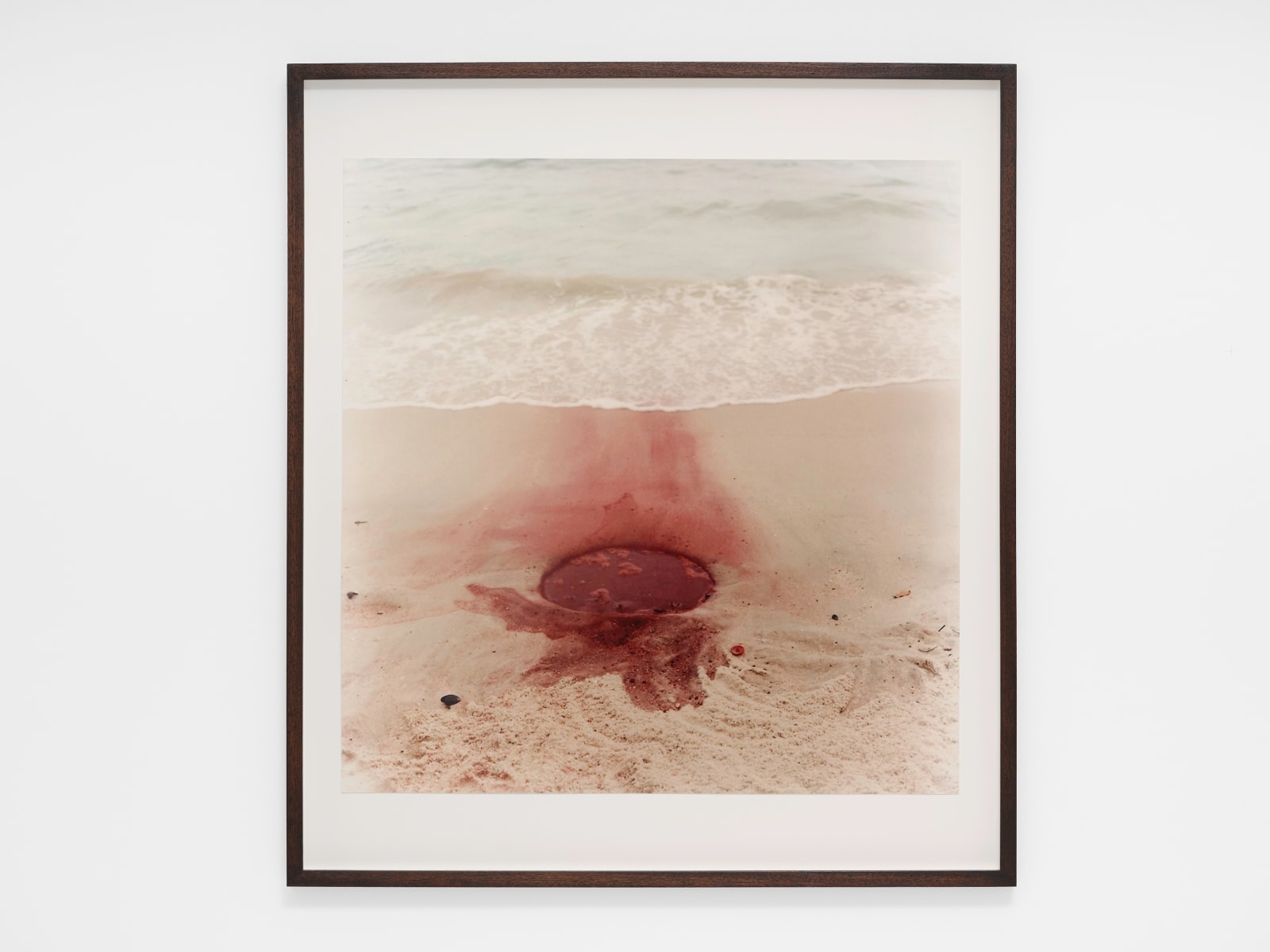 Katie van Scherpenberg, Furo [Hole], 2001/2023