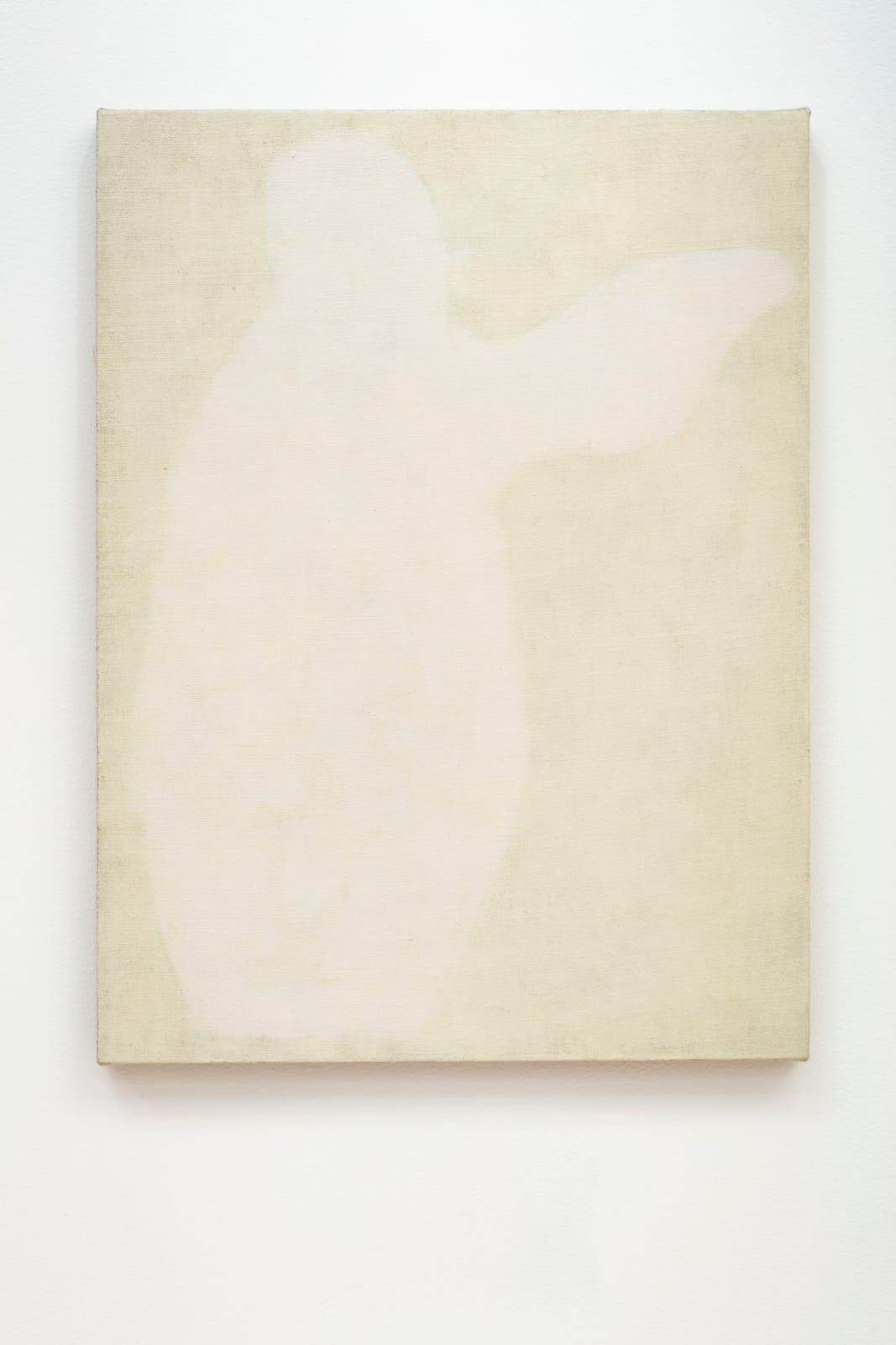 Alejandro Corujeira, Expansión [Expansion], 2022