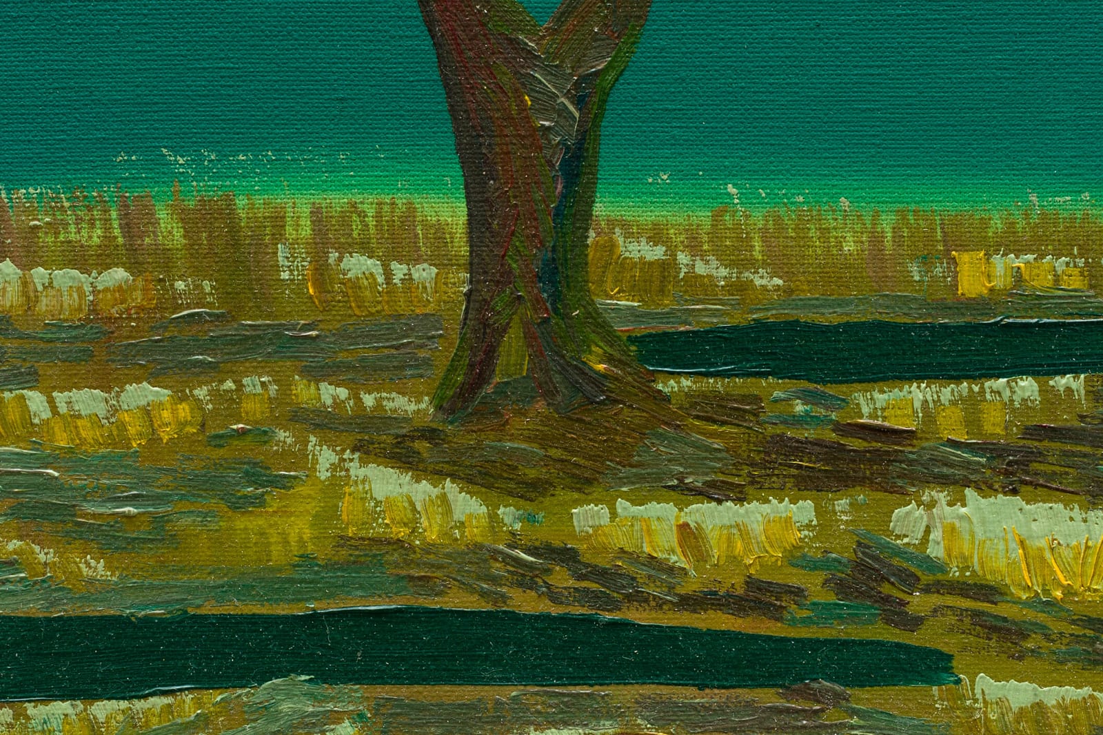 Matheus Chiaratti, Fogo para canavial (Os Jardins de Pau Lavrado) [Fire in the sugarcane field (The Pau Lavrado Gardens series)], 2024