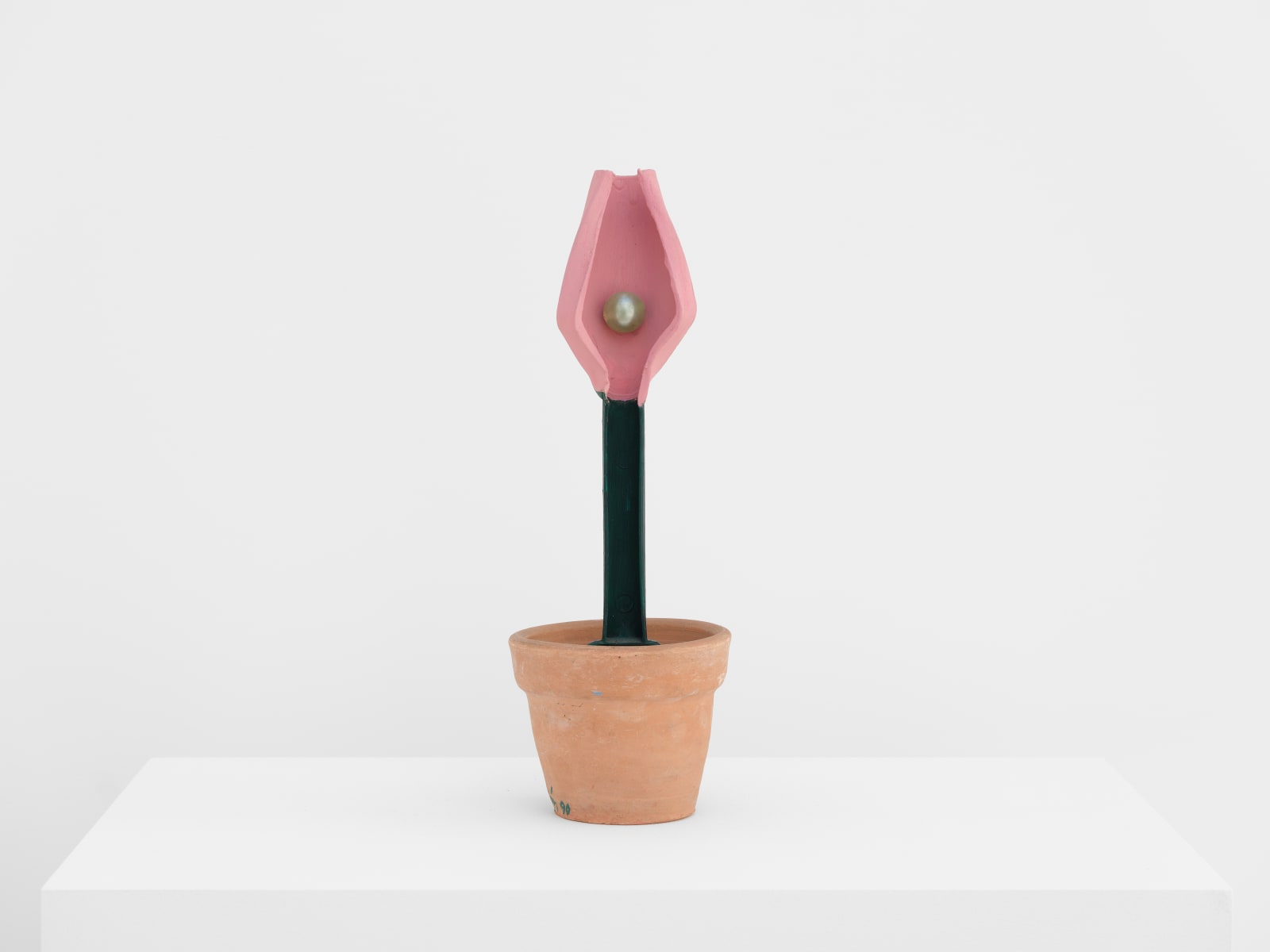 Estate of Feliciano Centurión, Maceta (Flowerpot), 1990