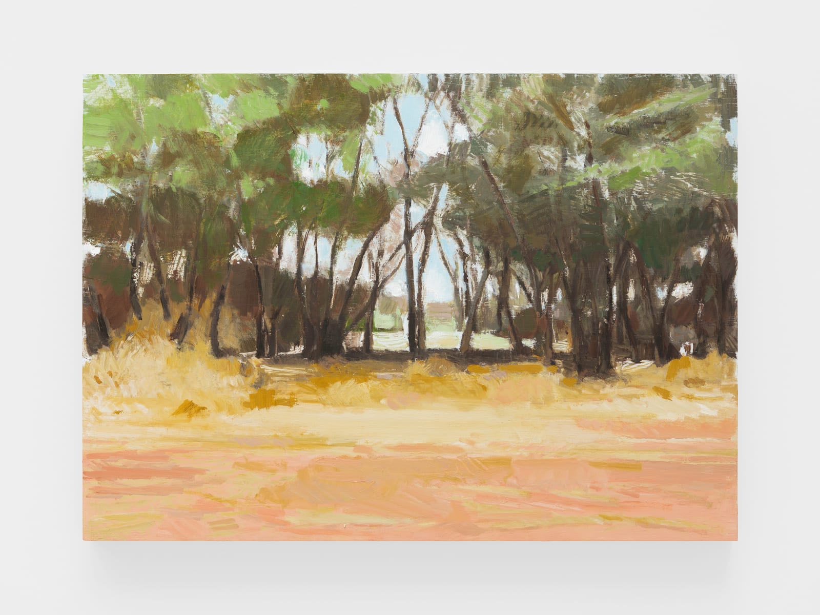 Paulo Pasta, Untitled, 2019