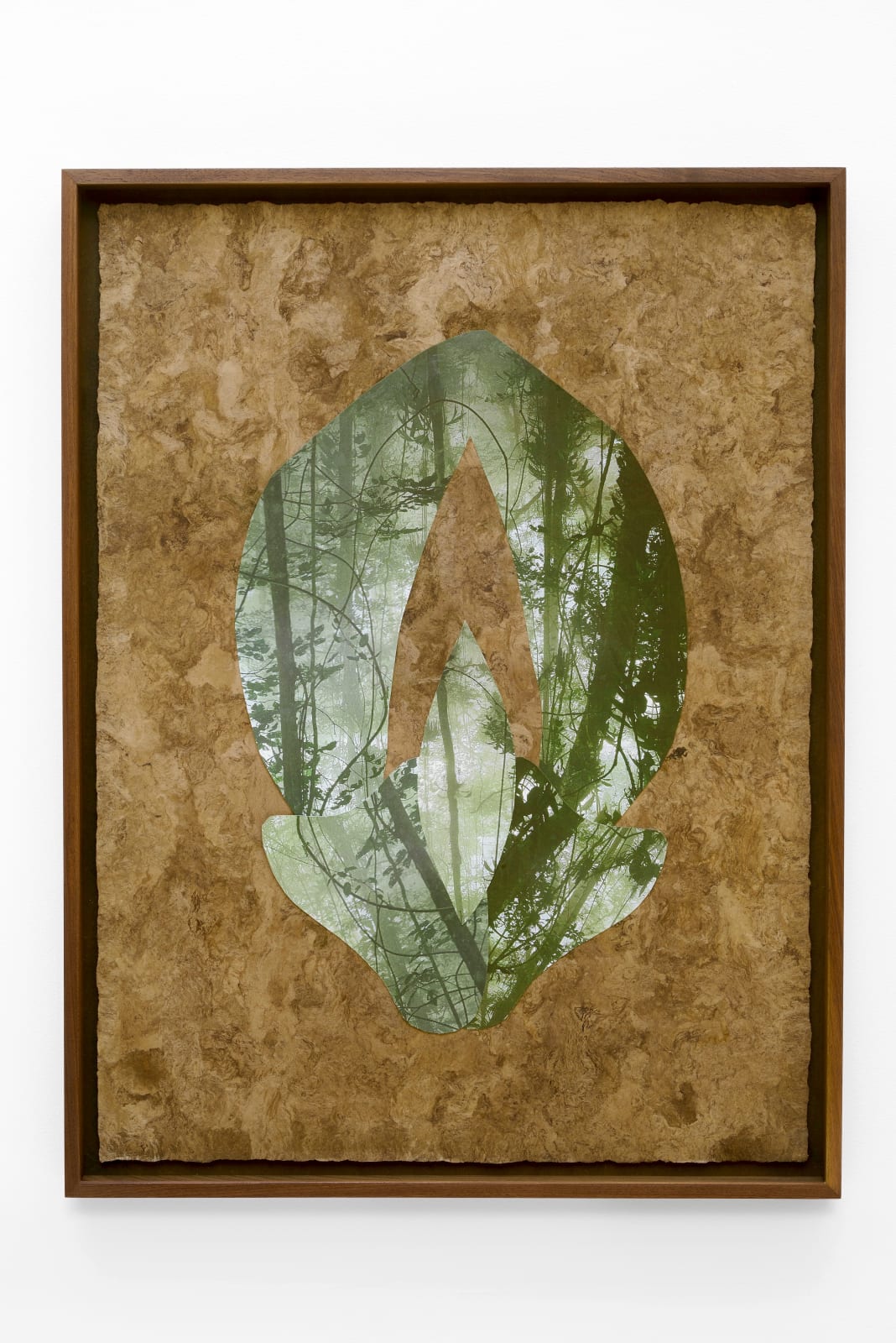 Lucía Pizzani, Flor de Selva, 2024