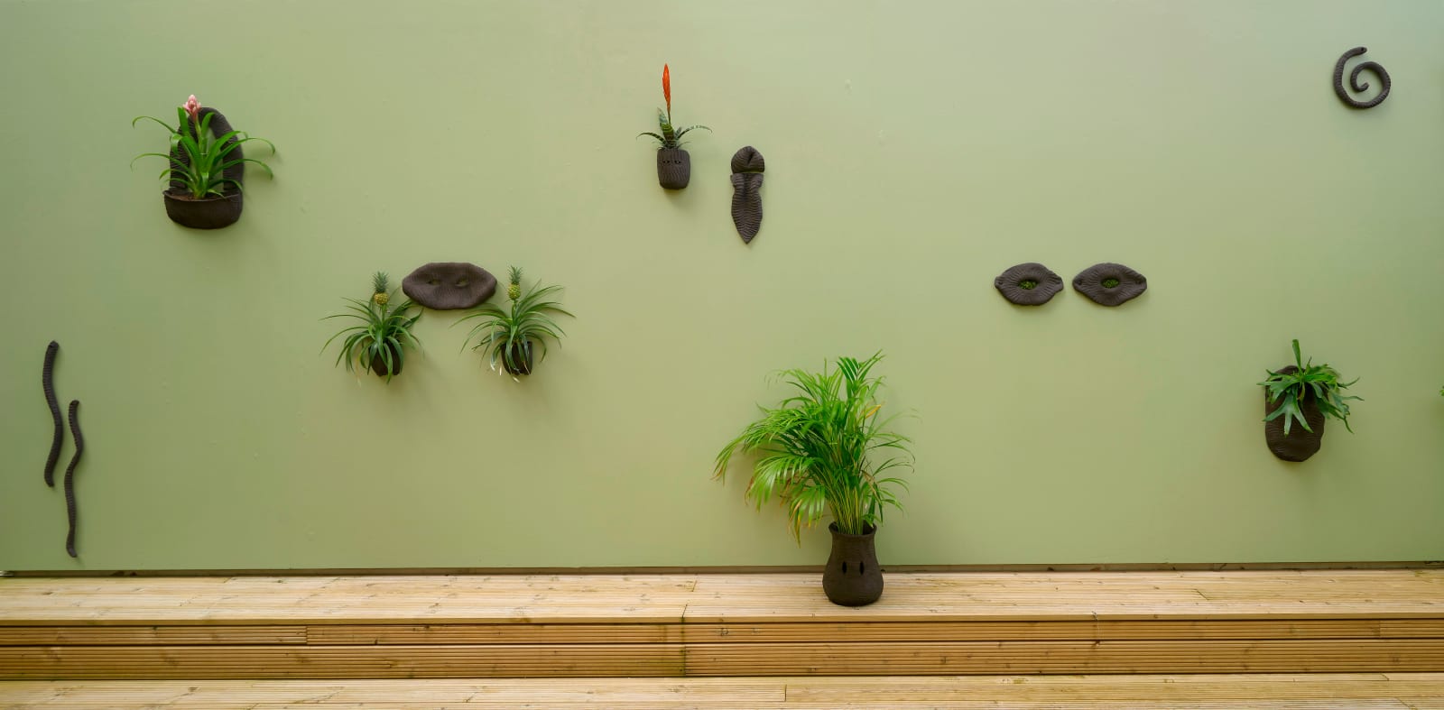Lucía Pizzani, Seres Tropicales, 2024