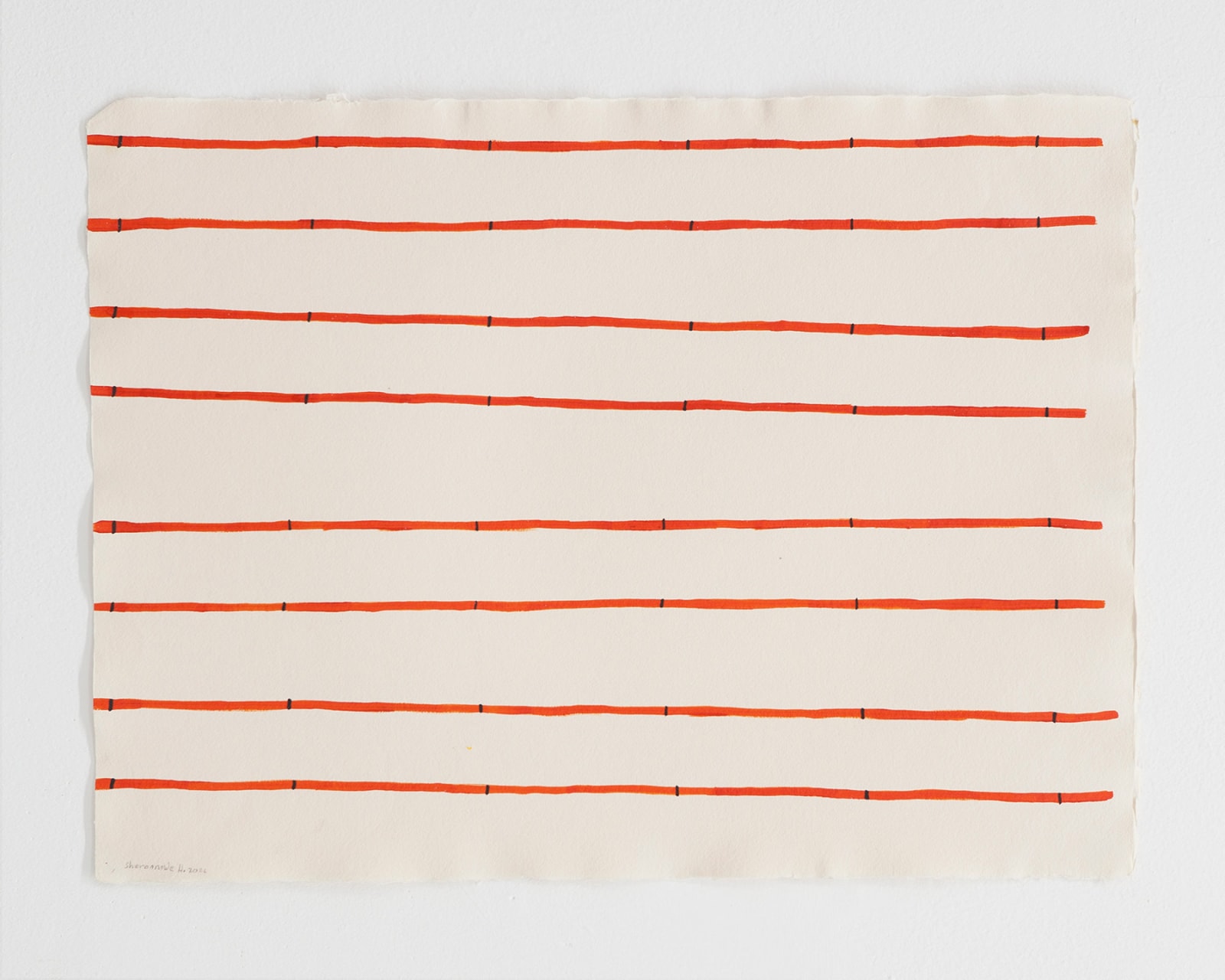 Sheroanawe Hakihiiwe, Purima hipe (Varita para adorno facial de mujer /Female face decoration) , 2021