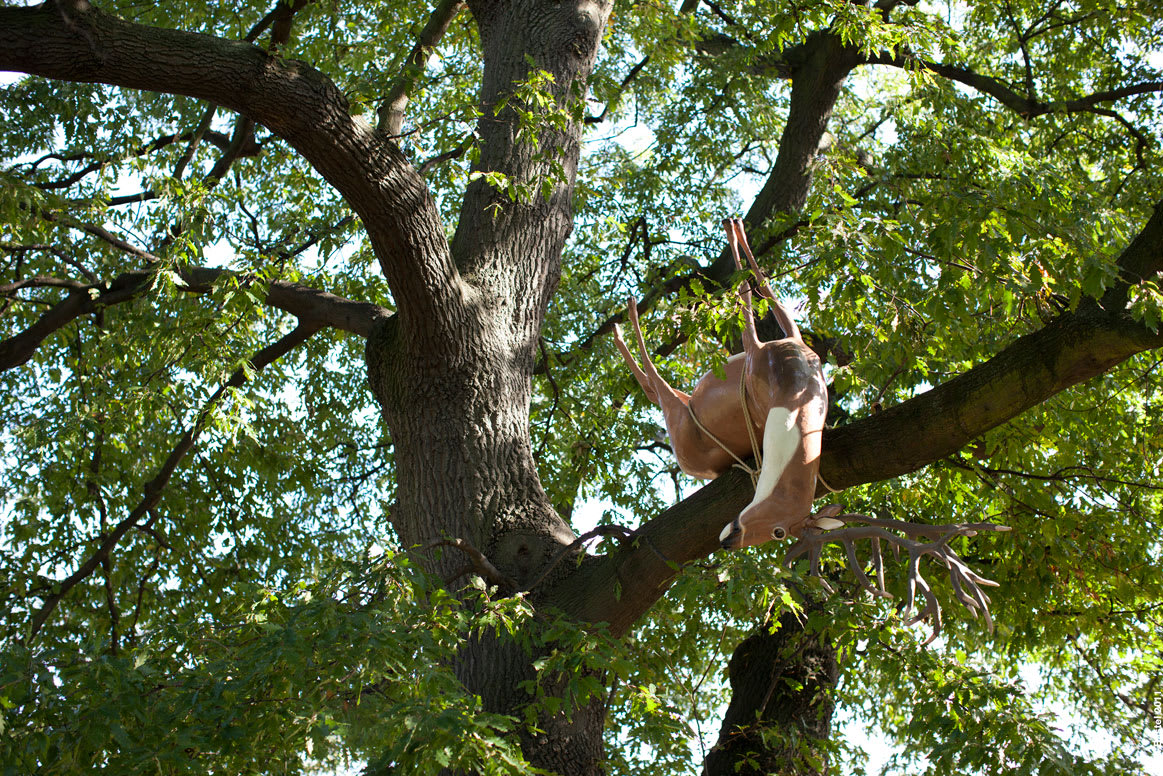 Claudia Fontes, 'Decoy for Andean Condor' at Frieze London Sculpture Park, 2011