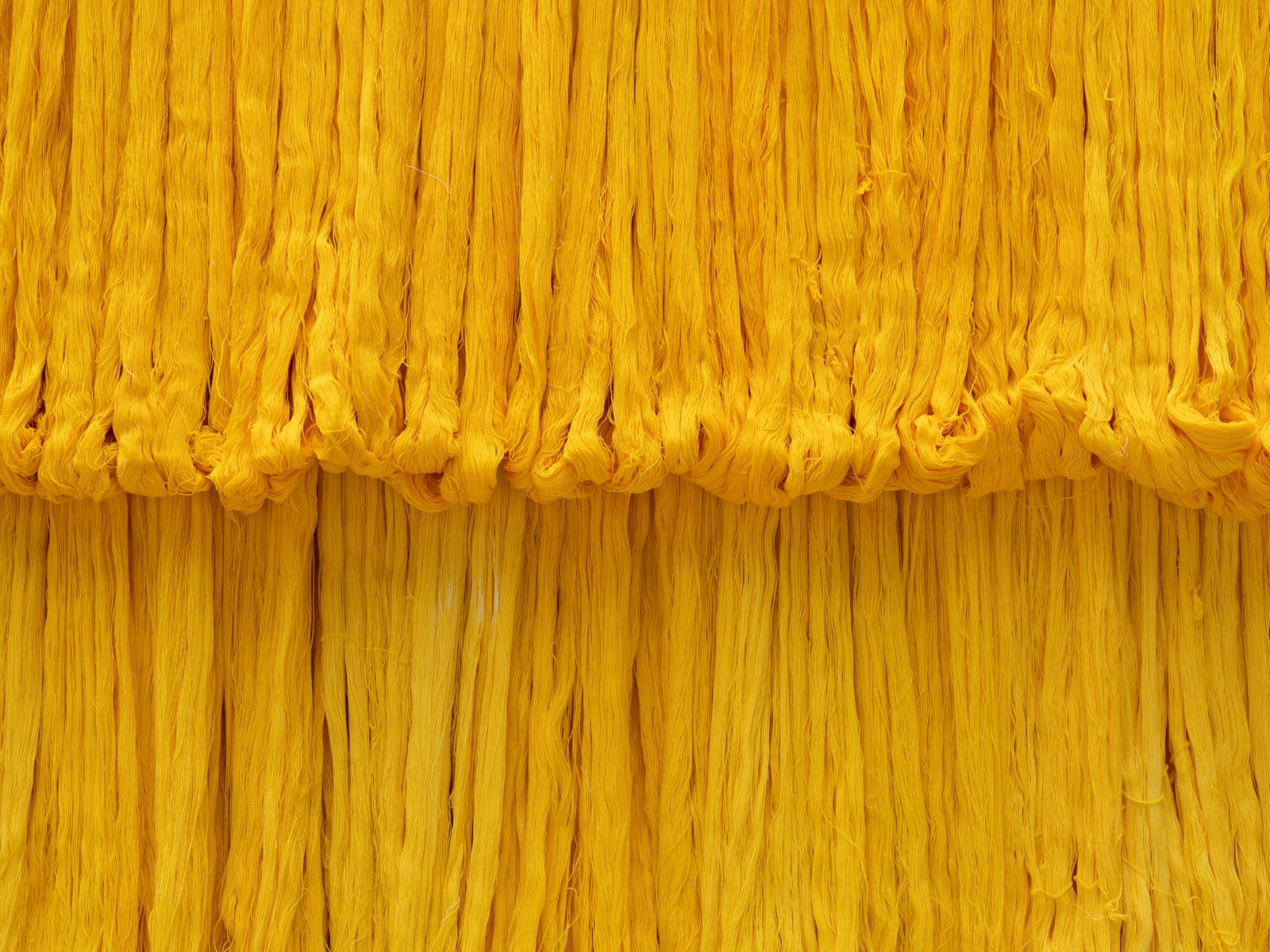 Sandra Monterroso, Expoliada II, 2016