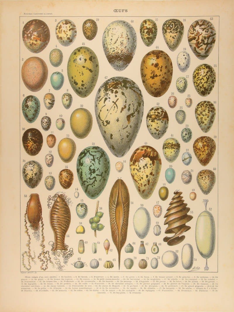 Peter Blake, Found Art - Eggs, 2013