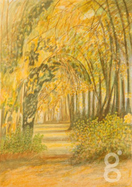 Michael Carlo, Oak Grove