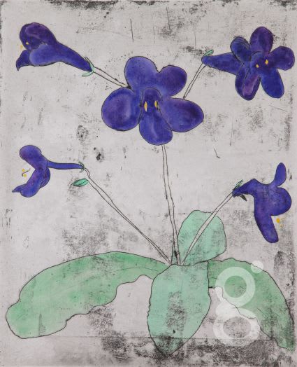 Richard Spare, Streptocarpus