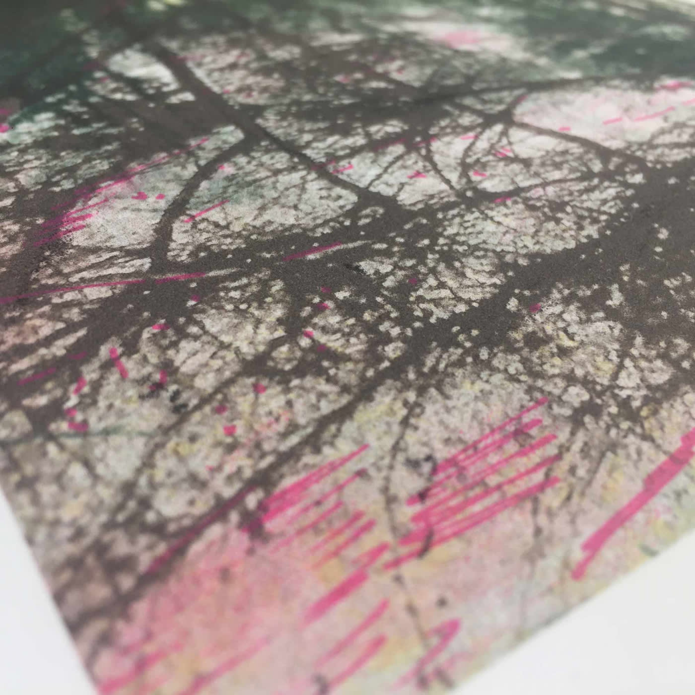 NHS 70th Anniversary Portfolio, In Two Parts by Elizabeth Magill, 2018
