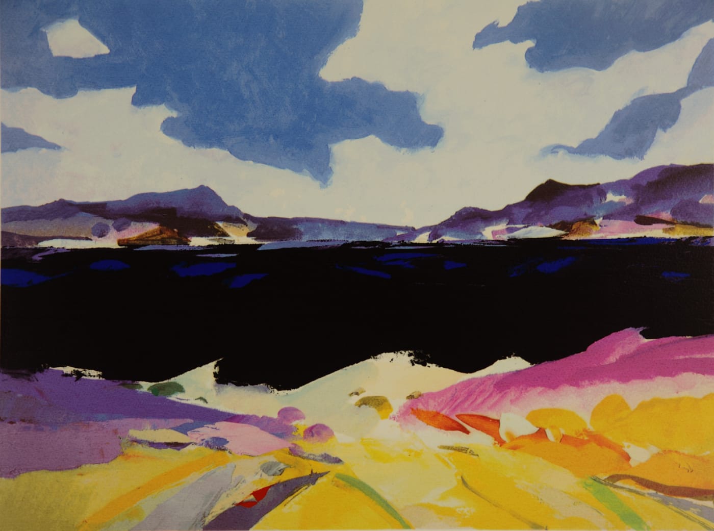 Donald Hamilton Fraser, Shoreline Skerray, 1999