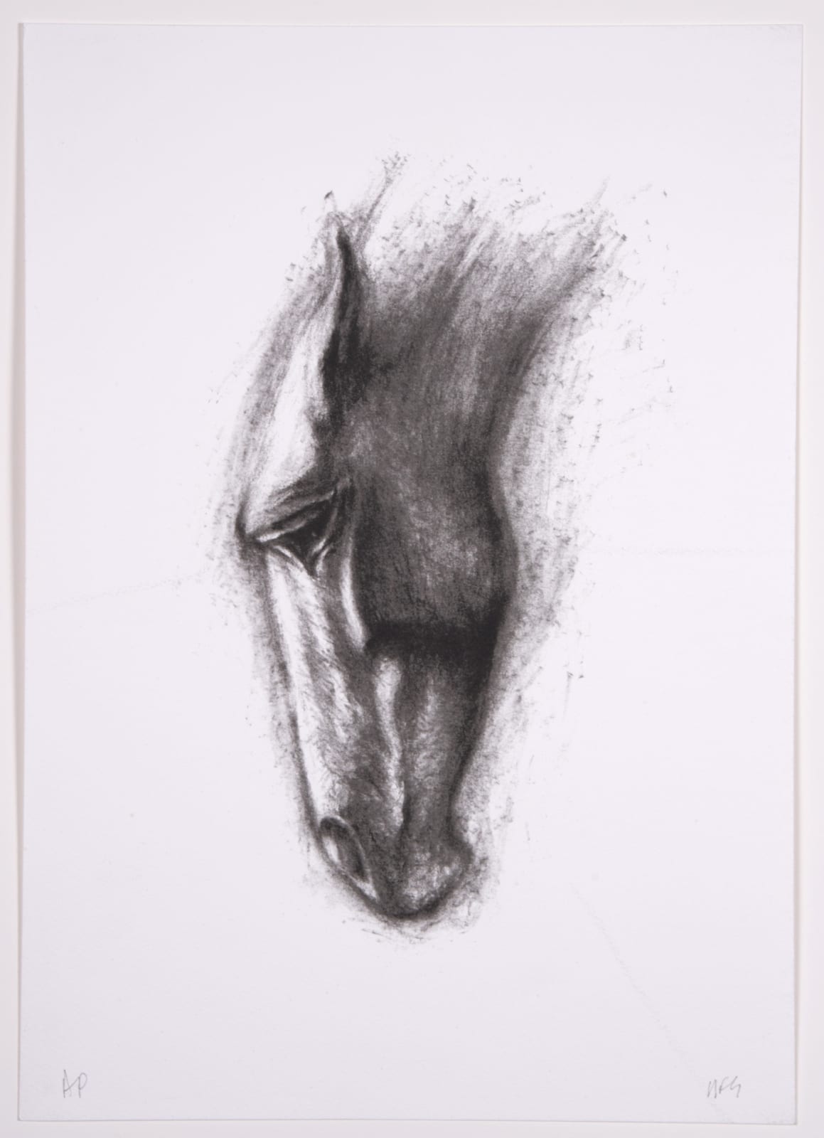 Nic Fiddian-Green, Little Horse at Water