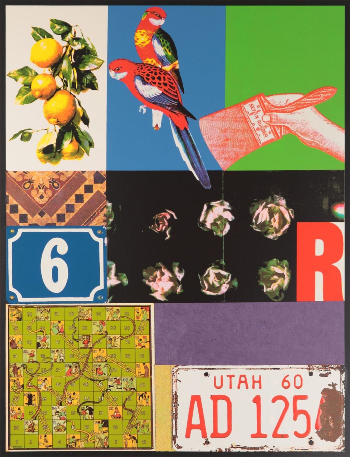 Peter Blake, Homage to Rauschenberg V, 2011