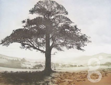 France Hilon, Le Cedre