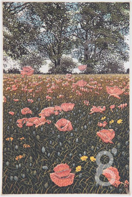 Graham Evernden, Grasses and Poppies