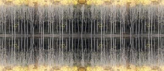 Graham Bannister, Autumn Reflected