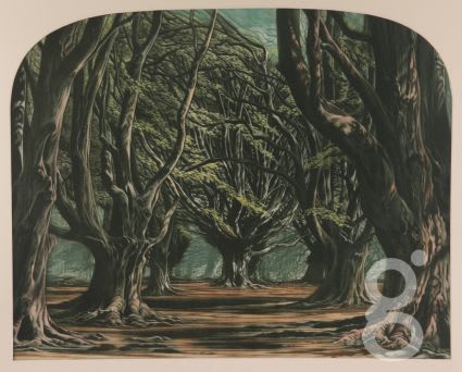 Susan Jameson, The Forest