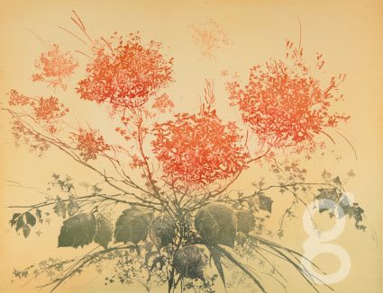 France Hilon, La Bouquet Rouge