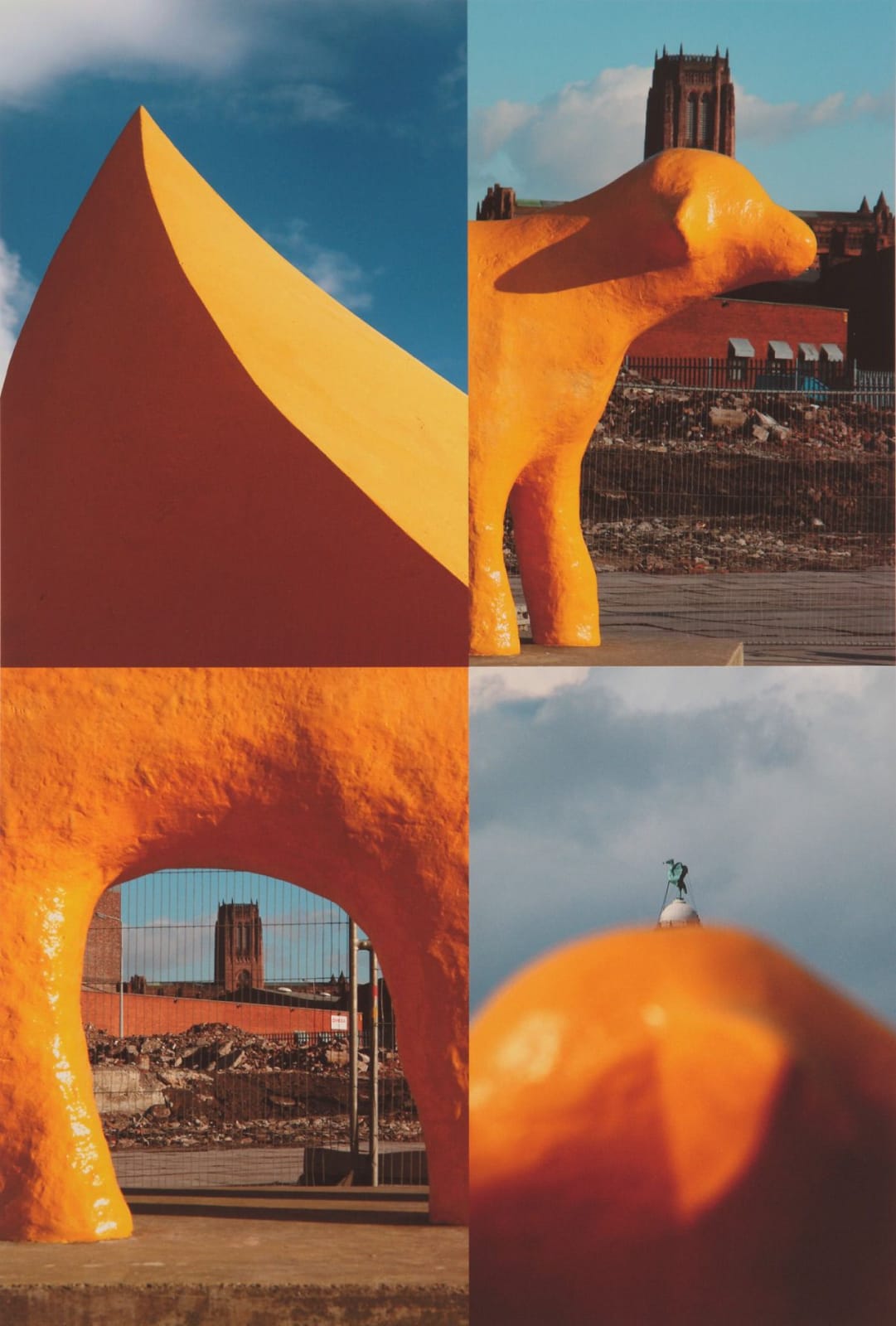 Mike McCartney, Super Lamb Banana, 2011
