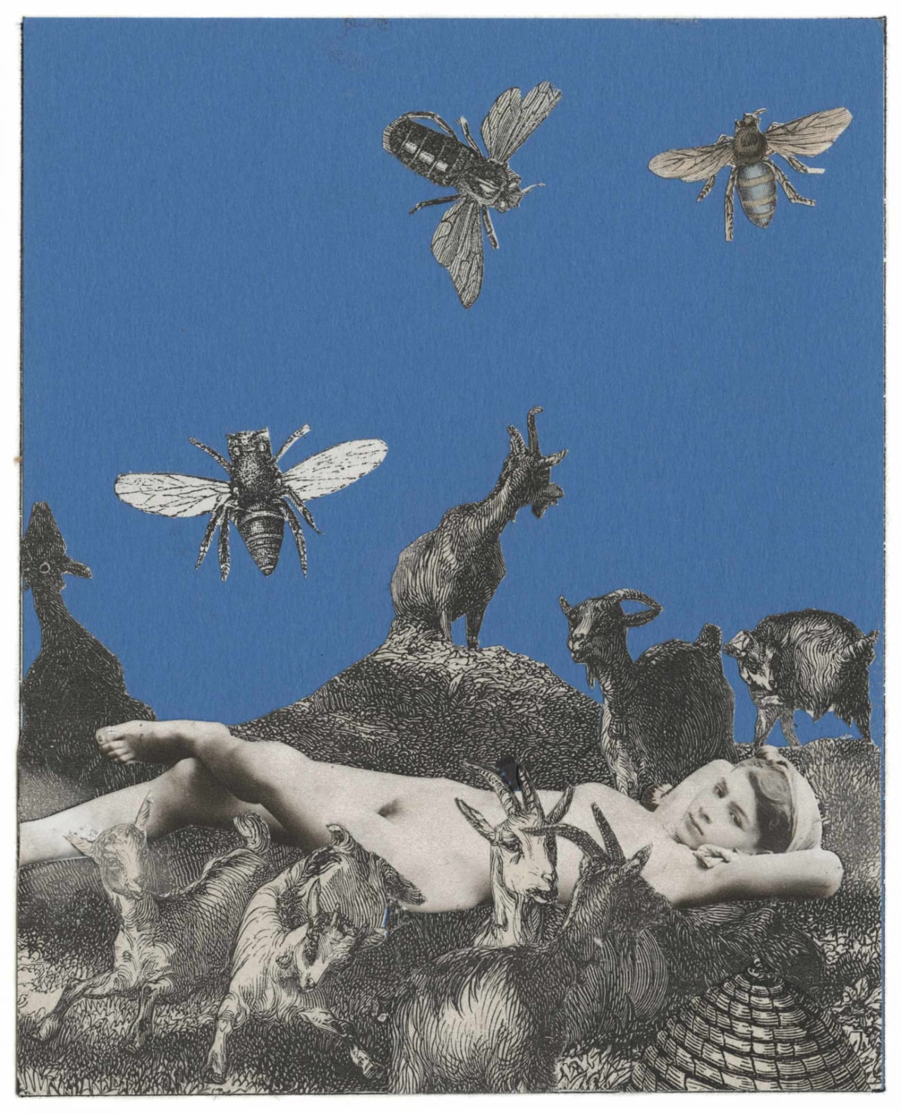 Peter Blake, The Afternoon Buzzes, 2013
