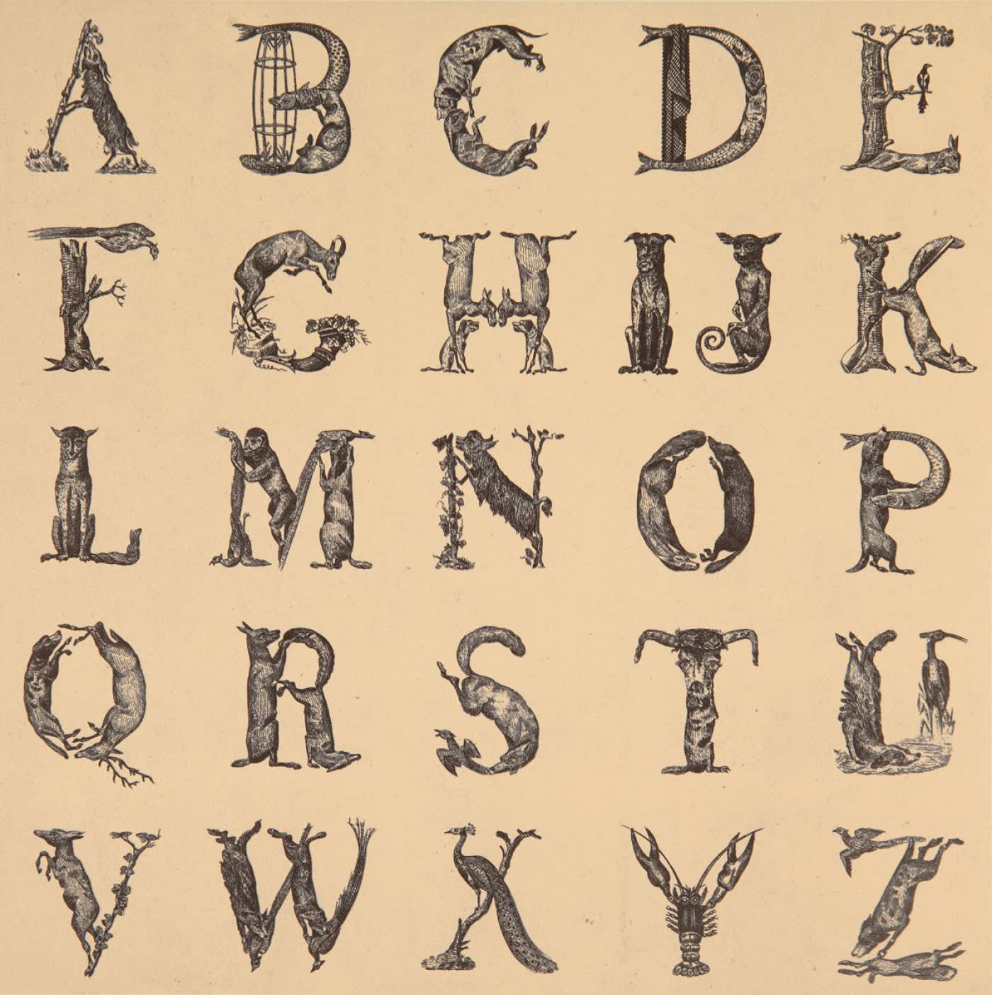 Peter Blake, Appropriated Alphabets: 12, 2013