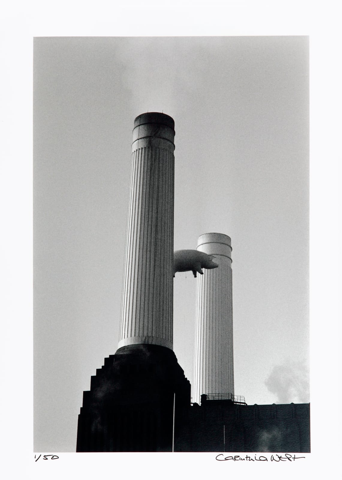 Carinthia West, Pink Pig Over Battersea set, 2017