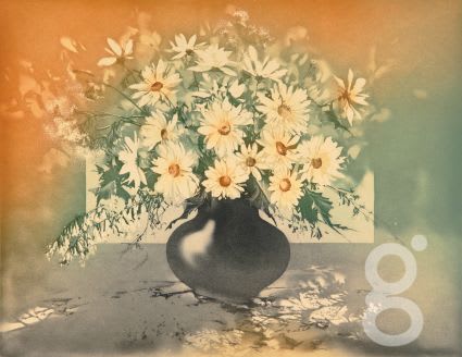 France Hilon, Passionnement